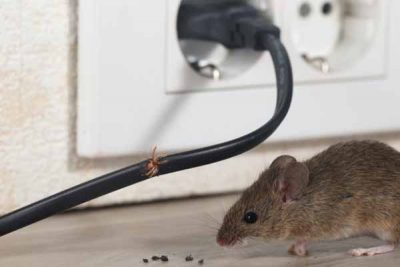 Mouse Control Service Mouse Control Service